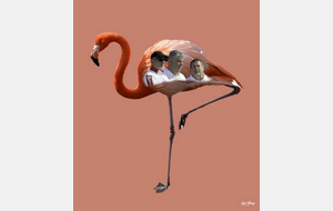 CCO Triplette Sénior Jeu Provençal