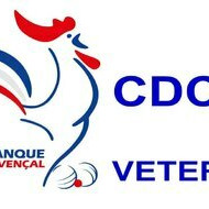 CDC Vétérans _ phase Finale